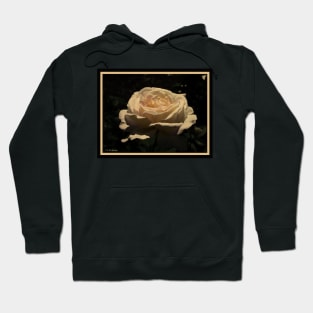 Sepia Rose Hoodie